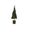 Hello Honey® Green Raw-Edged Corduroy Tree with Wood Slice Base